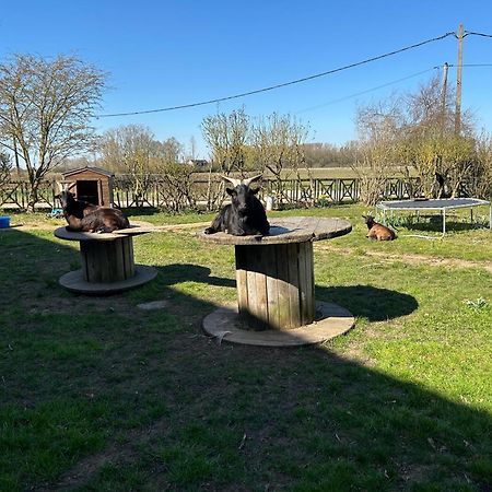 La Ferme Du Paradis Merris Екстериор снимка